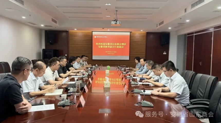 聚焦科创，共谋发展——安徽省山东商会赴新型显示产业链企业走访交流
